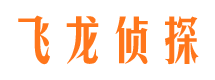 临泉婚外情取证